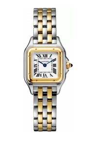 Cartier Panthère Yellow Gold & Steel Small Watch 
